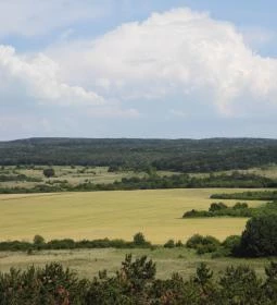 Nagyvázsonyi katonai torony kilátó