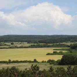 Nagyvázsonyi katonai torony kilátó Nagyvázsony - Külső kép