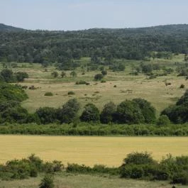 Nagyvázsonyi katonai torony kilátó Nagyvázsony - Külső kép