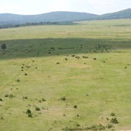 Nagyvázsonyi katonai torony kilátó Nagyvázsony - Külső kép
