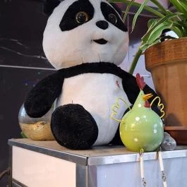 Nancy Food, Budapest - Egyéb