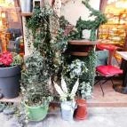 Nándori Cukrászda Budapest - Külső kép