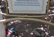 Napkorong Emlékhely Badacsonytomaj