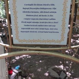 Napkorong Emlékhely, Badacsonytomaj - Egyéb