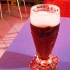 Napközi Bisztró Budapest - Étel/ital