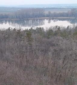 Naplás-tavi kilátó