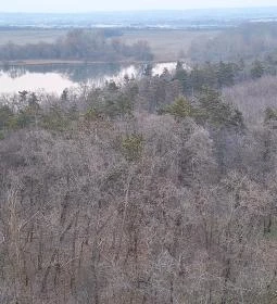 Naplás-tavi kilátó