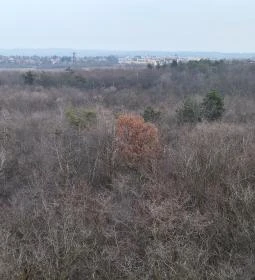 Naplás-tavi kilátó