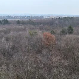 Naplás-tavi kilátó, Budapest - Külső kép