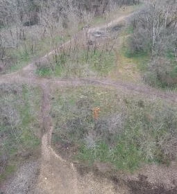 Naplás-tavi kilátó