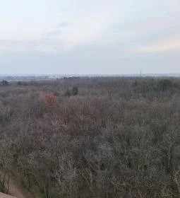 Naplás-tavi kilátó