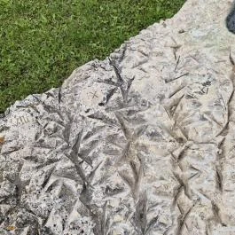 Napszámos óra, Rimóc - Egyéb