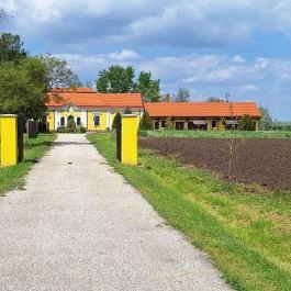Nedeczky-Griebsch kastély Szabadegyháza - Külső kép