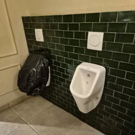 Negro Mangalica Budapest - Mosdó