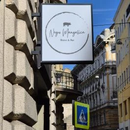 Negro Mangalica Budapest - Egyéb