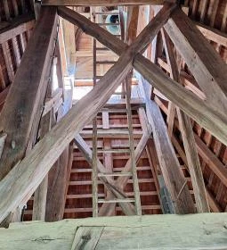 Nemesnépi harangláb