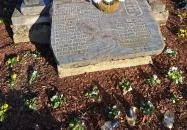 Nemesnépi harangláb Nemesnép