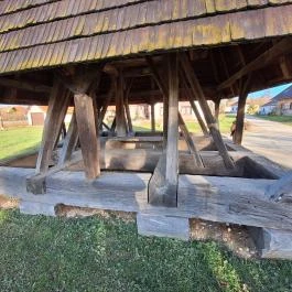 Nemesnépi harangláb Nemesnép - Egyéb