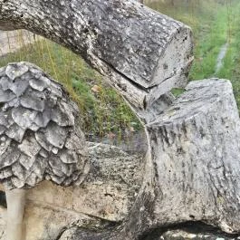 Német kitelepítettek emlékműve, Nagykovácsi - Egyéb