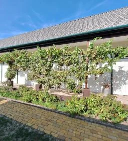 Német Nemzetiségi Tájház