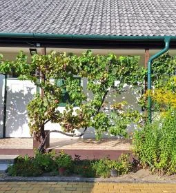 Német Nemzetiségi Tájház