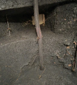 Német Nemzetiségi Tájház