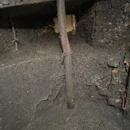 Német Nemzetiségi Tájház Geresdlak - Egyéb