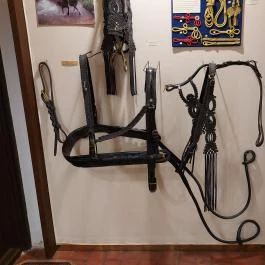 Népi Iparművészeti Gyűjtemény Kecskemét - Egyéb