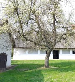 Népművészeti Tájház