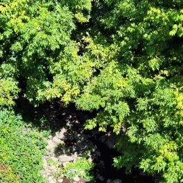 Nepomuki Szent János szobor Barcs - Külső kép