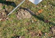 Nepomuki Szent János szobor Pusztavám