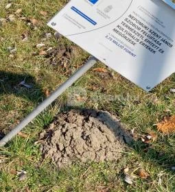 Nepomuki Szent János szobor