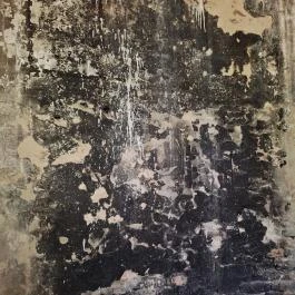 Nepomuki Szent János Templom rom, Szedres - Egyéb