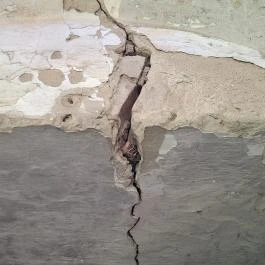 Nepomuki Szent János Templom rom, Szedres - Egyéb