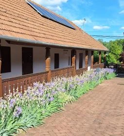 Néprajzi kiállítás