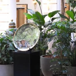 New York Kávéház Budapest - Egyéb