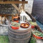 Noah Étterem Fertőrákos - Egyéb