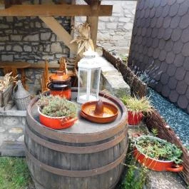 Noah Étterem, Fertőrákos - Egyéb