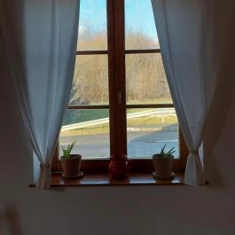 Noble's Étterem Nemesnép - Egyéb