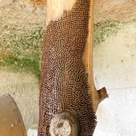 Noszvaji barlanglakások Noszvaj - Külső kép