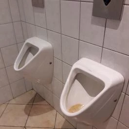 Nótafa Vendéglő Budapest - Mosdó