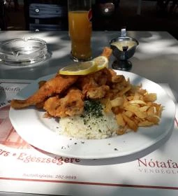 Nótafa Vendéglő