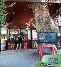 Nyárfás Kávéház