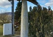 Nyilazó lovas szobor Verőce