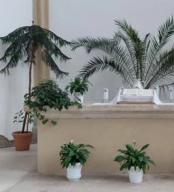 Nyírbátori református templom