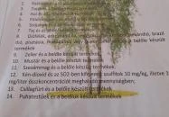 Nyíres Kisvendéglő Böhönye