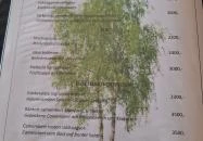 Nyíres Kisvendéglő Böhönye