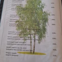 Nyíres Kisvendéglő, Böhönye - Étlap/itallap