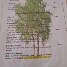 Nyíres Kisvendéglő, Böhönye - Étlap/itallap