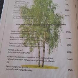 Nyíres Kisvendéglő, Böhönye - Étlap/itallap